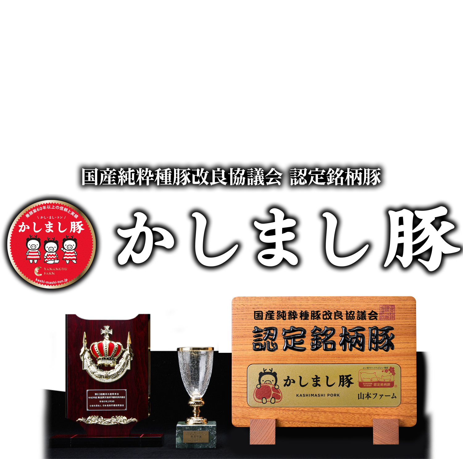 画像の説明